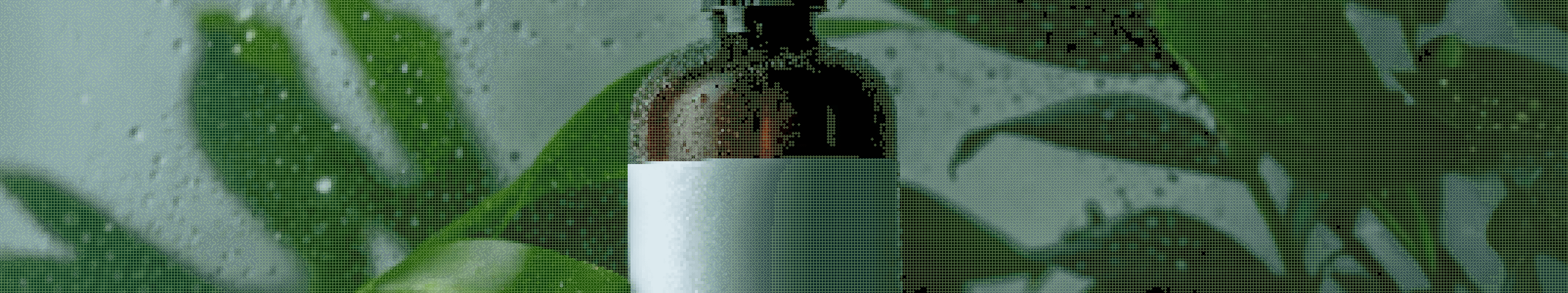 Wella LUXEOIL